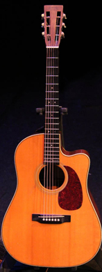Martin D28 VS Sacksioni Model guitarpoll