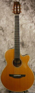 Takamine EN 30C guitarpoll