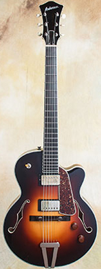 Andersen Electric Archie guitarpoll