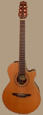 Takamine NP65C guitarpoll