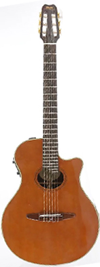 Yamaha APX 10NA guitarpoll