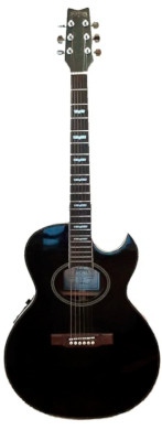 Washburn EA22 guitarpoll