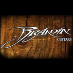logo brandin guitarpoll