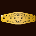 logo blueberry guitars