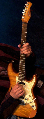 Dick Dijkman PT-signature model guitarpoll