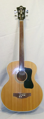 Guild B-50 Fretless Acoustic Bass guitarpoll