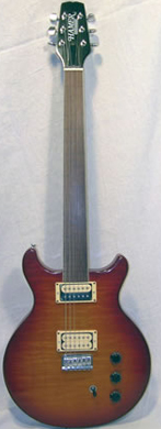 Hamer Archtop fretless guitarpoll