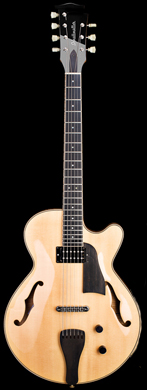 Schottmuller Custom 7-string guitarpoll