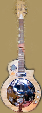 HOS Electro Reso guitarpoll