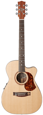 Maton SRS808C guitarpoll