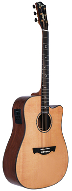 Tagima Acoustic guitarpoll