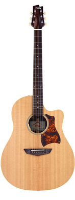 FGN Acoustic Electric guitarpoll
