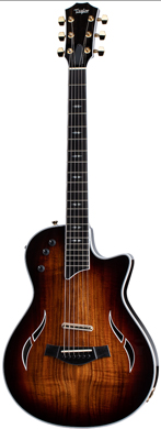 Taylor T5z Custom K-2021 Acoustic guitarpoll