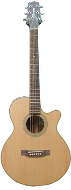 Takamine G-series Electro Acoustic guitarpoll