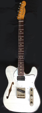 Fender Telecaster Thinline White guitarpoll