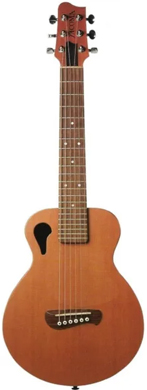 Tacoma Papoose guitarpoll