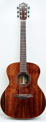 Mayson MS3-O-AR signature guitarpoll