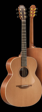 Lowden Original Series 22 guitarpoll