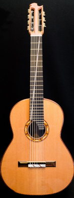 Hamm Strings Yamandu Sign - guitarpoll